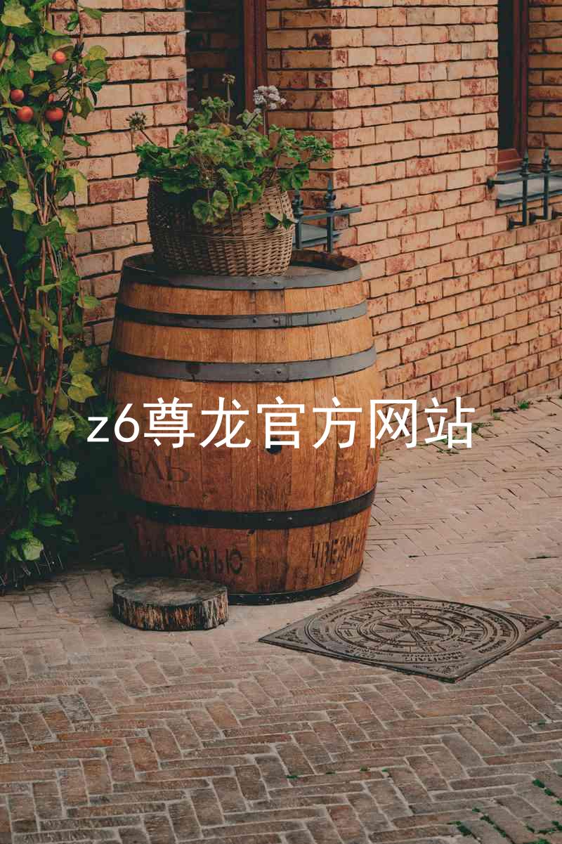 z6尊龙官方网站